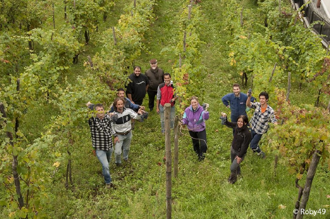 La vigna Santa